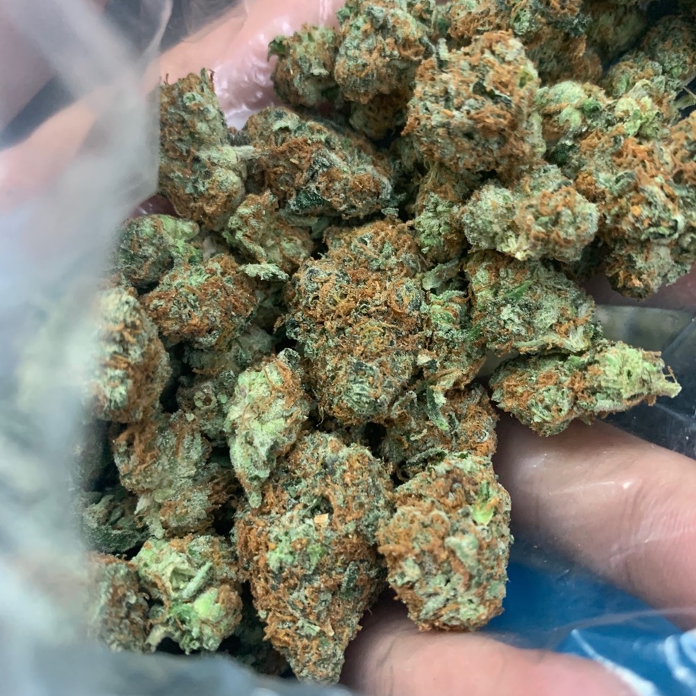 Meet your Posher, Collin